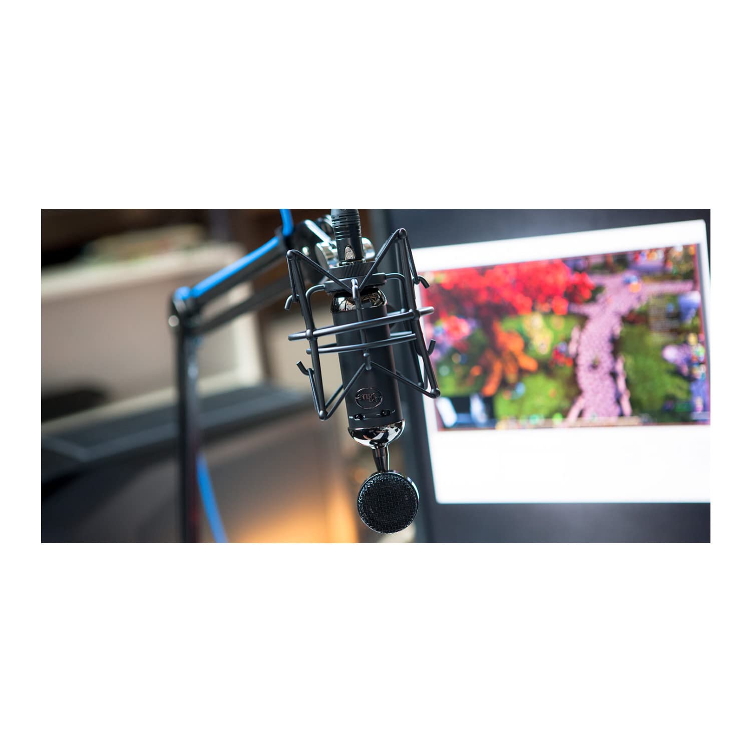 Blue Blackout Spark SL XLR Condenser Microphone for Pro Recording, Streaming, Podcasting, Gaming, with Large Diaphragm Cardioid